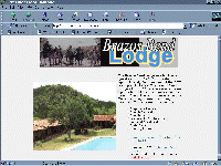 The Brazos Bend Lodge.com